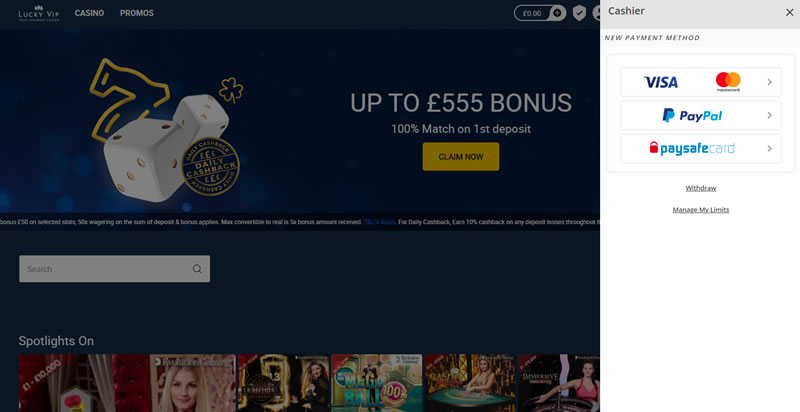 Payment options on the Lucky VIP Casino site